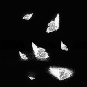 欧美人狂配大交3D
